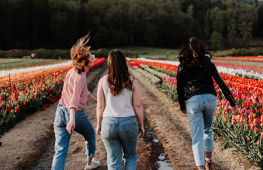 priscilla-du-preez-FTsLN4L1f7Y-unsplash